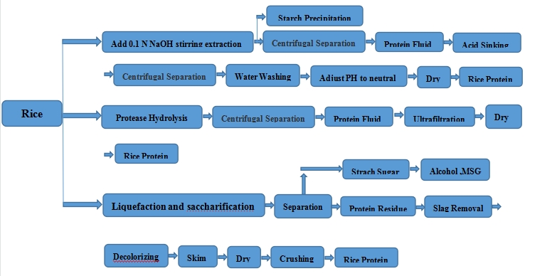 Development And Application Of Rice Protein..jpg